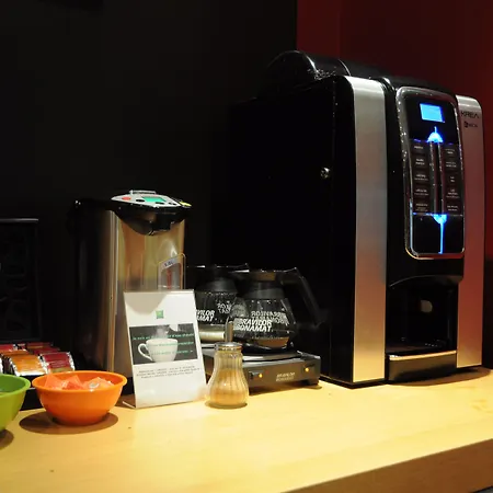 Ibis Styles Centre Gare فندق ميتز